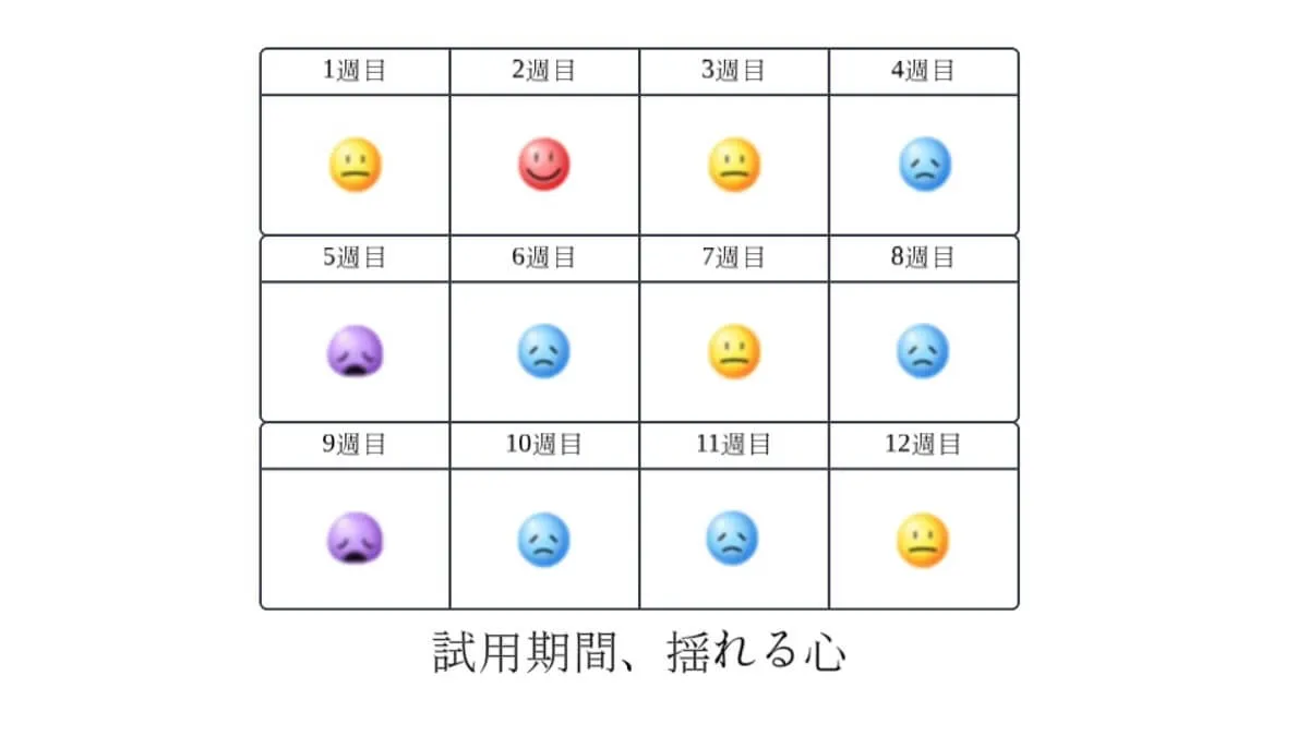 想像と違った、でも良かった！　3ヶ月間の試用期間を振り返って