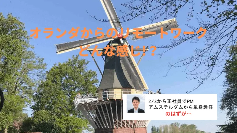 コロナによりオランダからリモートワークしています！