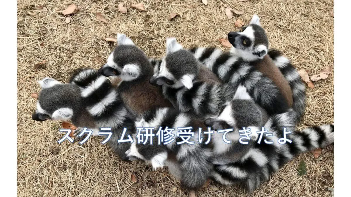 IT初心者だけどスクラム研修受けてきました