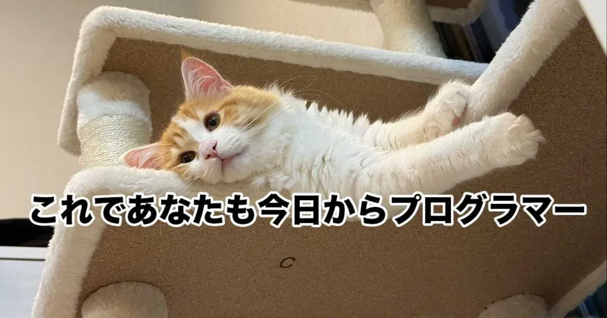 1行コピペで社員全員プログラマーになれるClaude Codeセットアップを作った