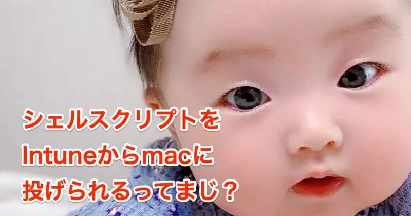 Intuneからmacにシェルスクリプトを流してみた