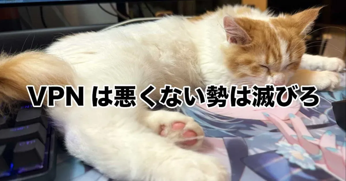 また病院がVPN経由でやられたわけだがVPNは悪だね