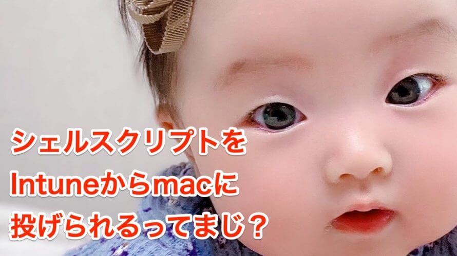 Intuneからmacにシェルスクリプトを流してみた