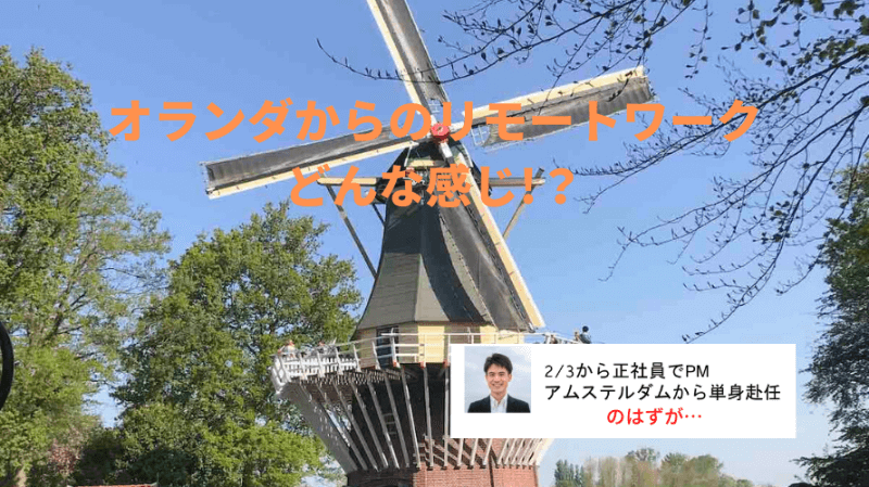 コロナによりオランダからリモートワークしています!